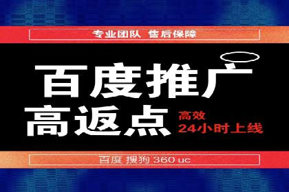 SEM代理案例：揭秘成功背后的秘密